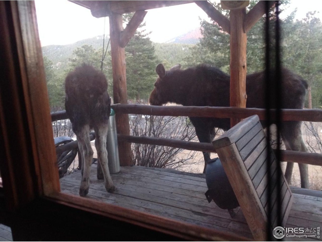 900 Spruce Drive Lyons, CO 80540 - Photo 38 of 40 a view of a balcony with chairs and wooden floor
