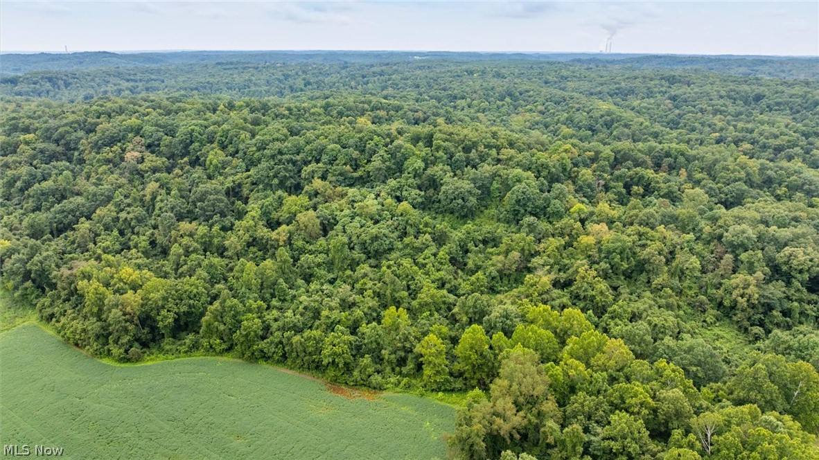0 Bald Knob-Stiversville Road Portland, OH 45770 - Photo 19 of 20 Gallery Image 19