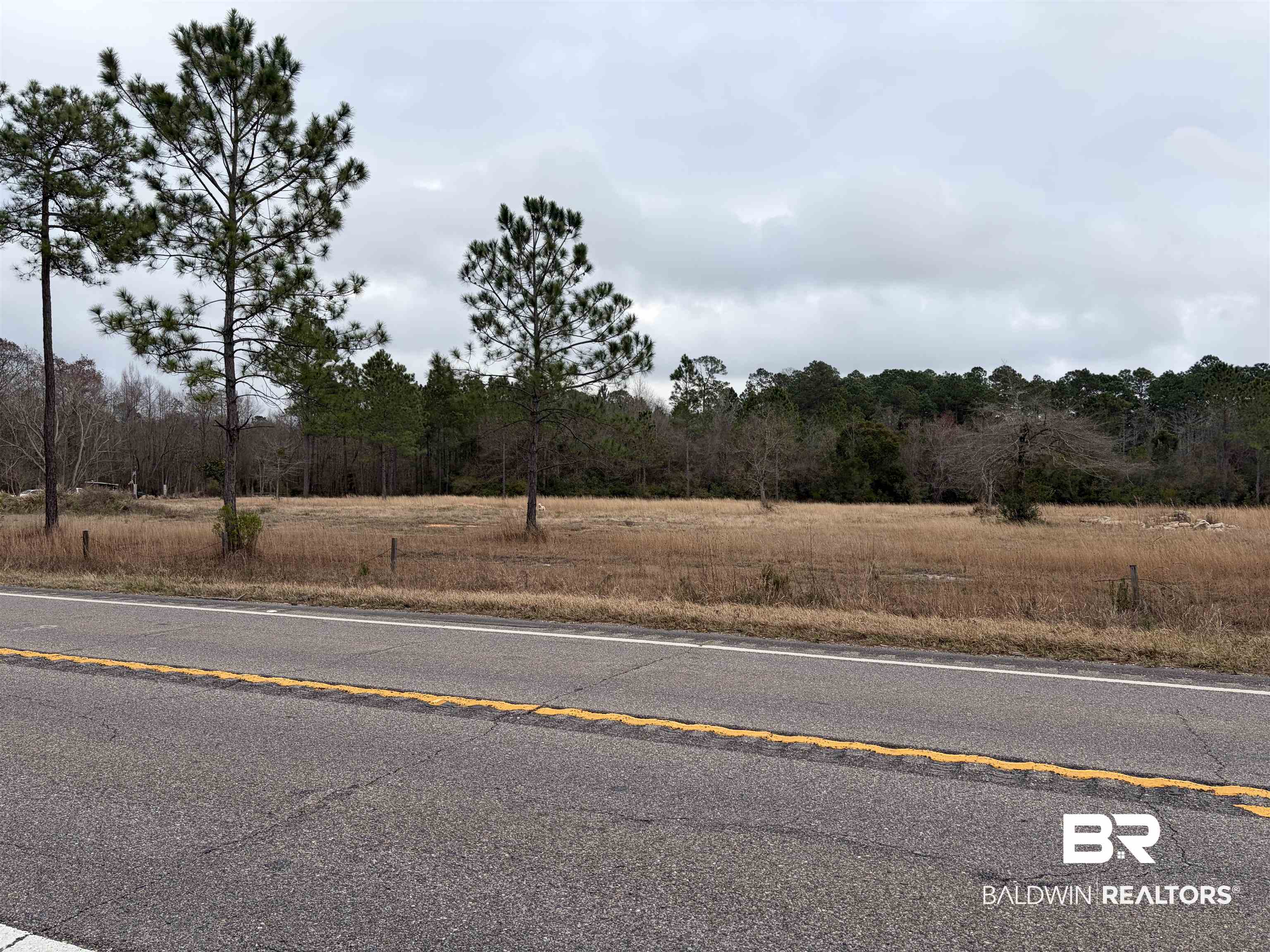 10585 Bellingrath Road Theodore, AL 36582 - Photo 2 of 14 View of asphalt street