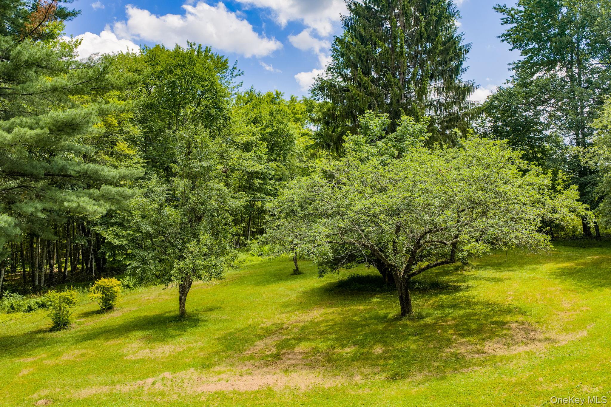 10 Hoffman Road Hankins, NY 12741 - Photo 34 of 46 Fruit trees