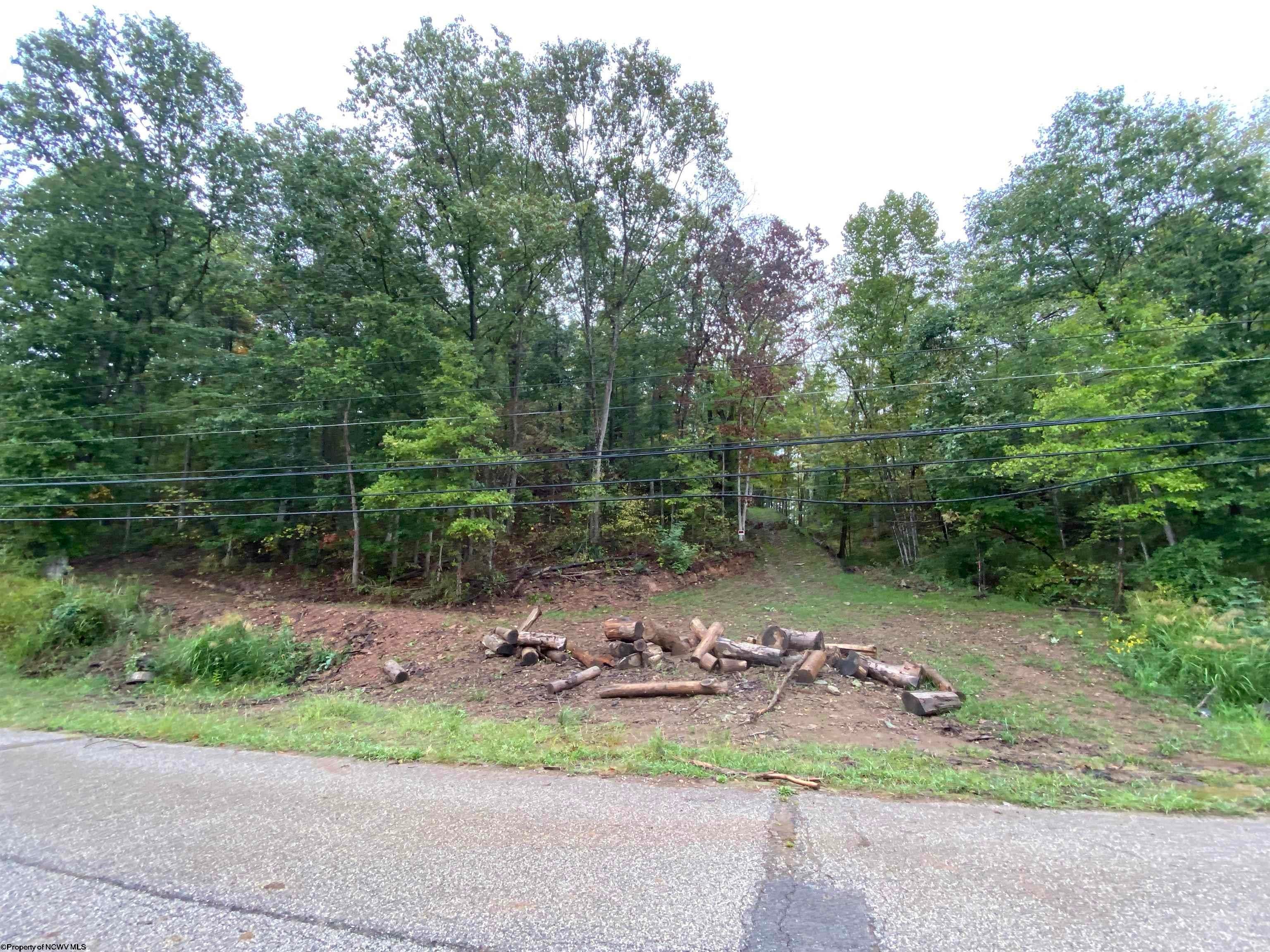Tbd Dallison Road Walker, WV 26180 - Photo 2 of 20 Gallery Image 2