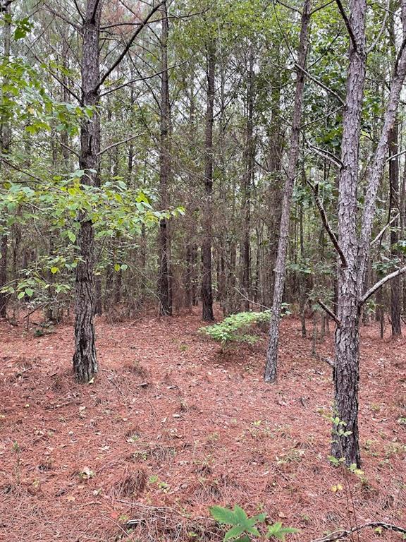 0 Spence Road Fairburn, GA 30213 - Photo 4 of 16 Gallery Image 4