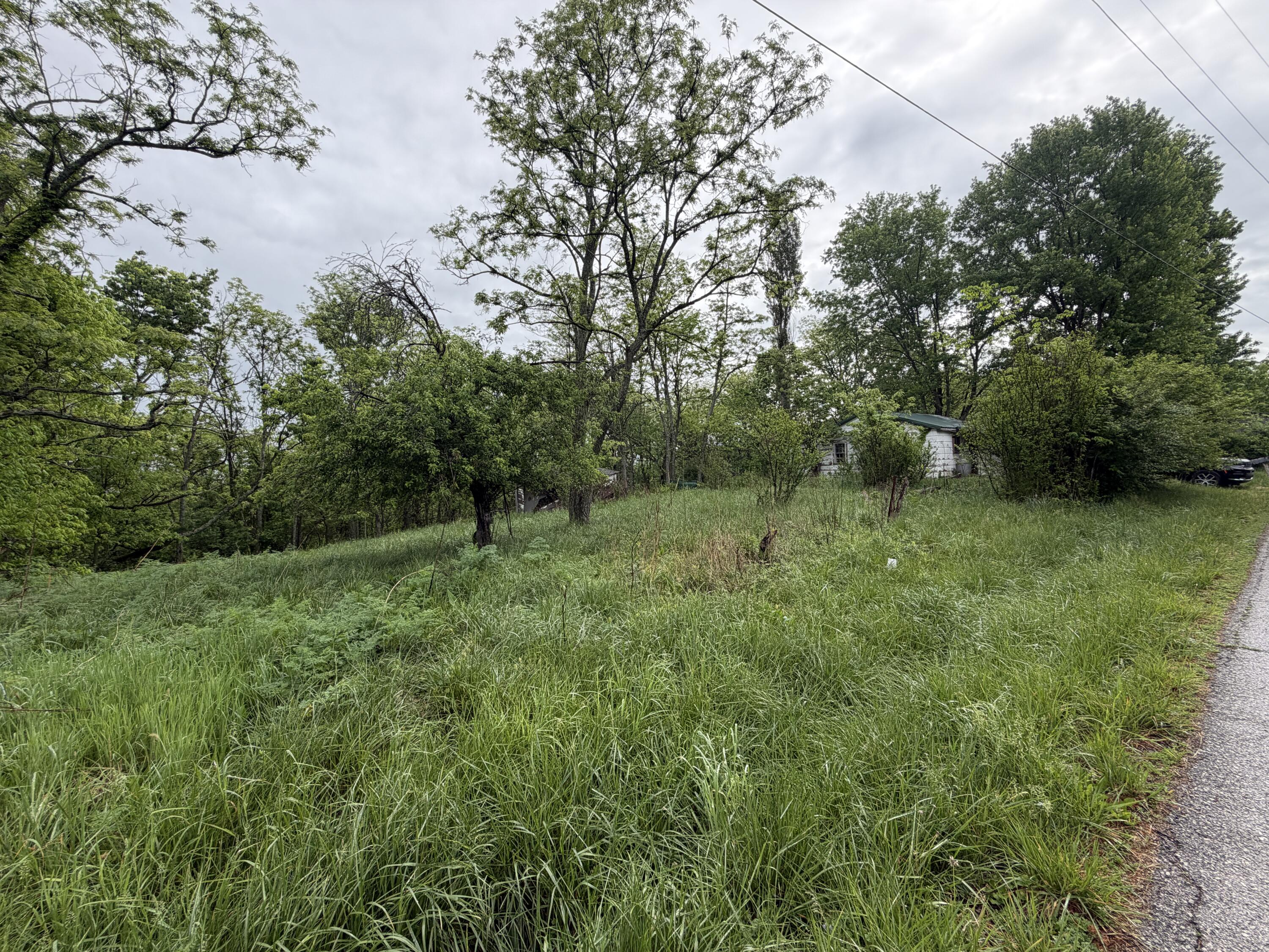 2728 Pea Ridge Road Germantown, KY 41044 - Photo 11 of 11