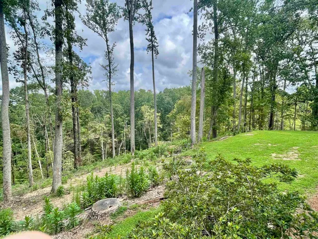 $949,900 | 380 Indian Creek Road, Spartanburg, SC 29302