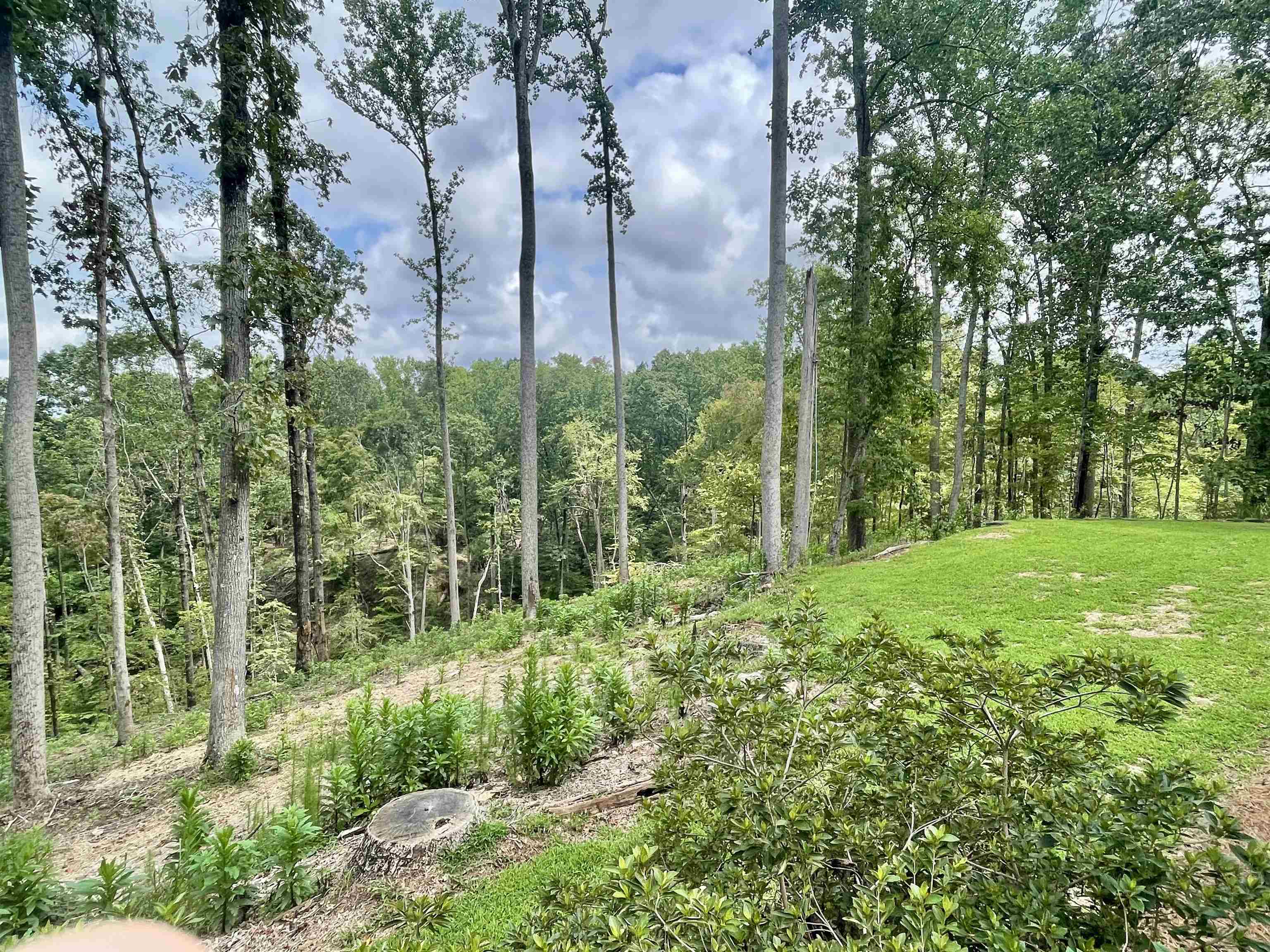 380 Indian Creek Road Spartanburg, SC 29302 - Photo 46 of 48