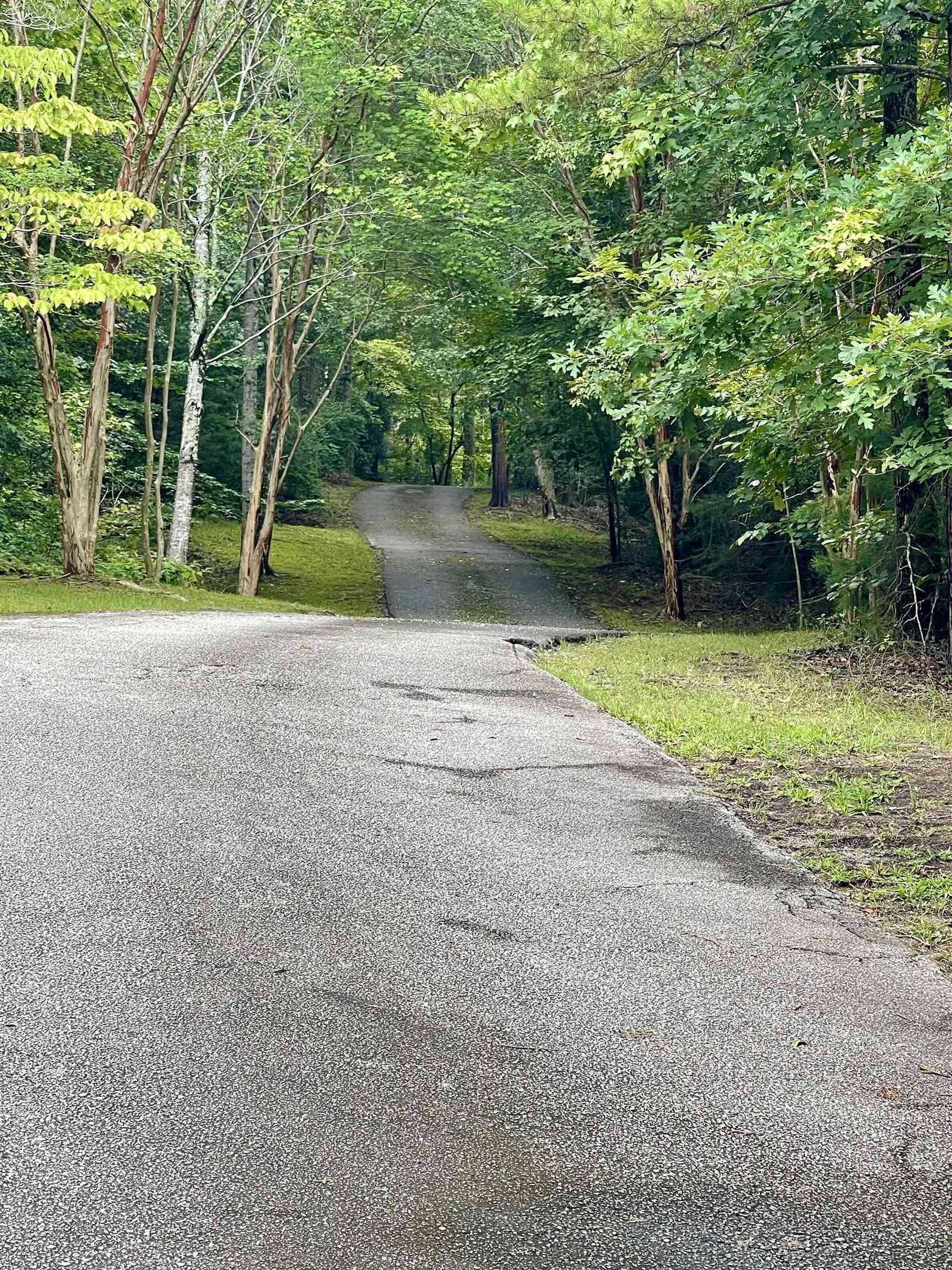 380 Indian Creek Road Spartanburg, SC 29302 - Photo 47 of 48