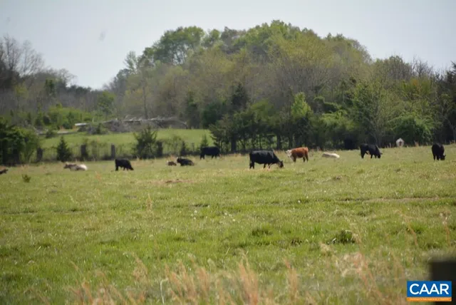 $229,900 | 0 Cedar Lane Road, Farmville, VA 23901