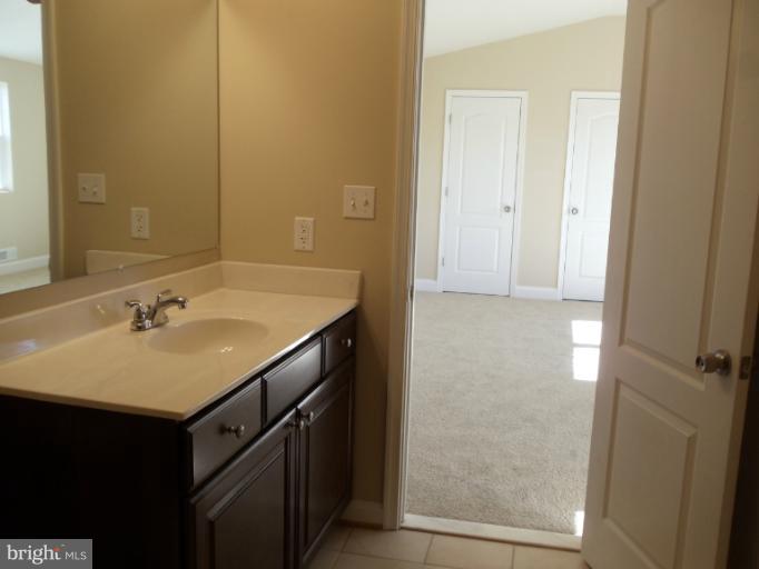 4010 Chatham Road Baltimore, MD 21207 - Photo 21 of 24 Bath (Master)