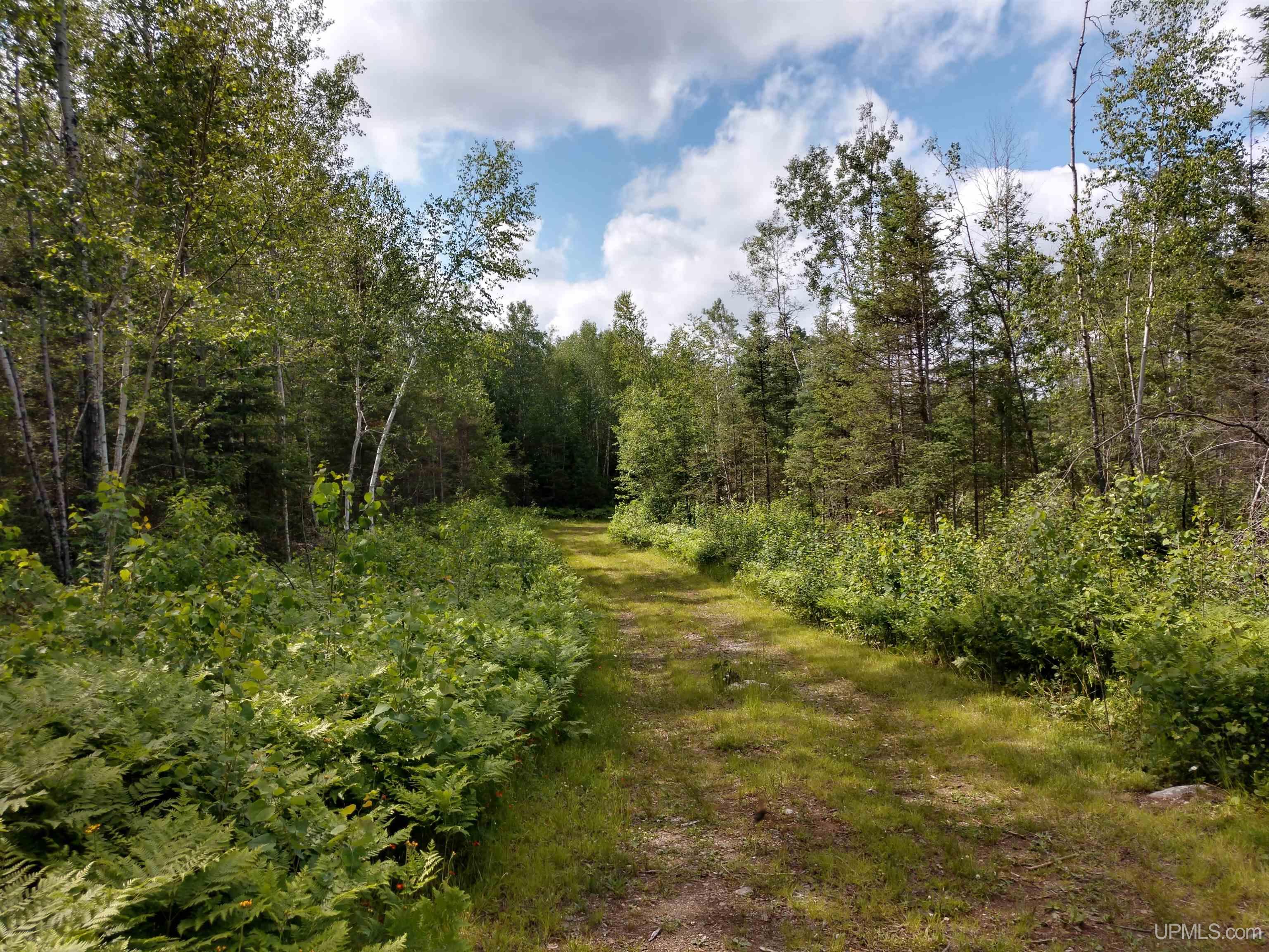 601 County Road 601 Road Republic, MI 49879 - Photo 49 of 60
