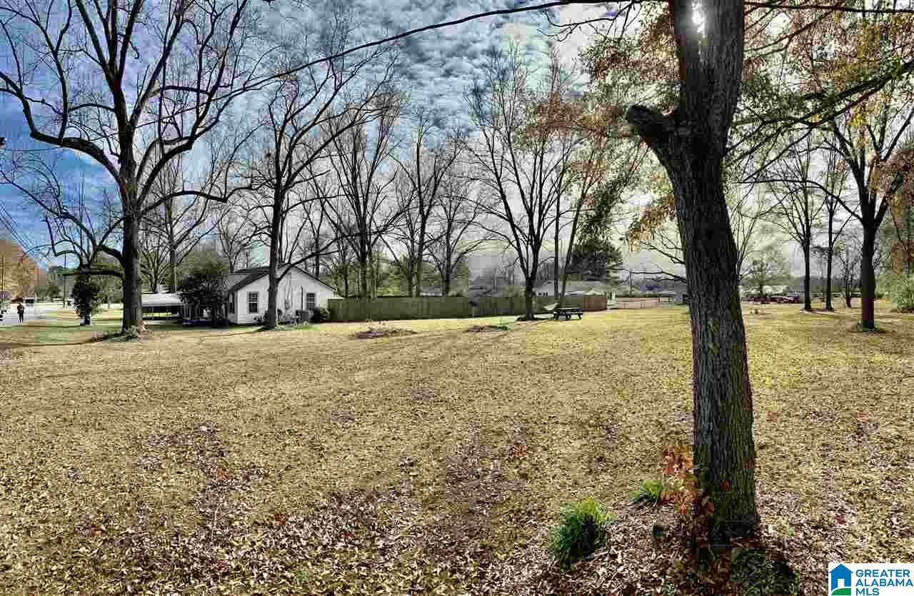1403 MT Pleasant Road Clanton, AL 35045 - Photo 33 of 44