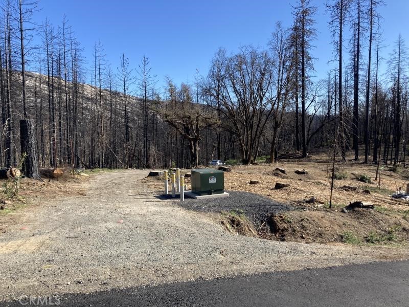 560 Zink Road Berry Creek, CA 95916 - Photo 1 of 1 Gallery Image 1