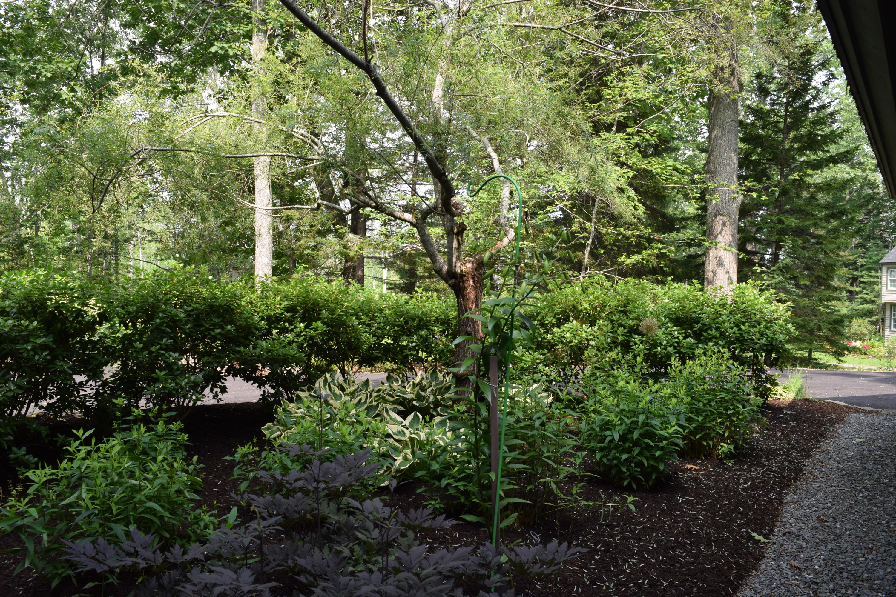 560 Bluff Road Northport, ME 04849 - Photo 10 of 42 DSC_0869