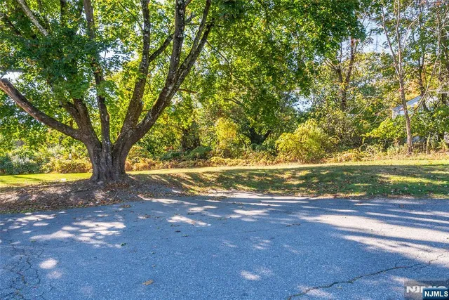 a view of dirt yard with green space