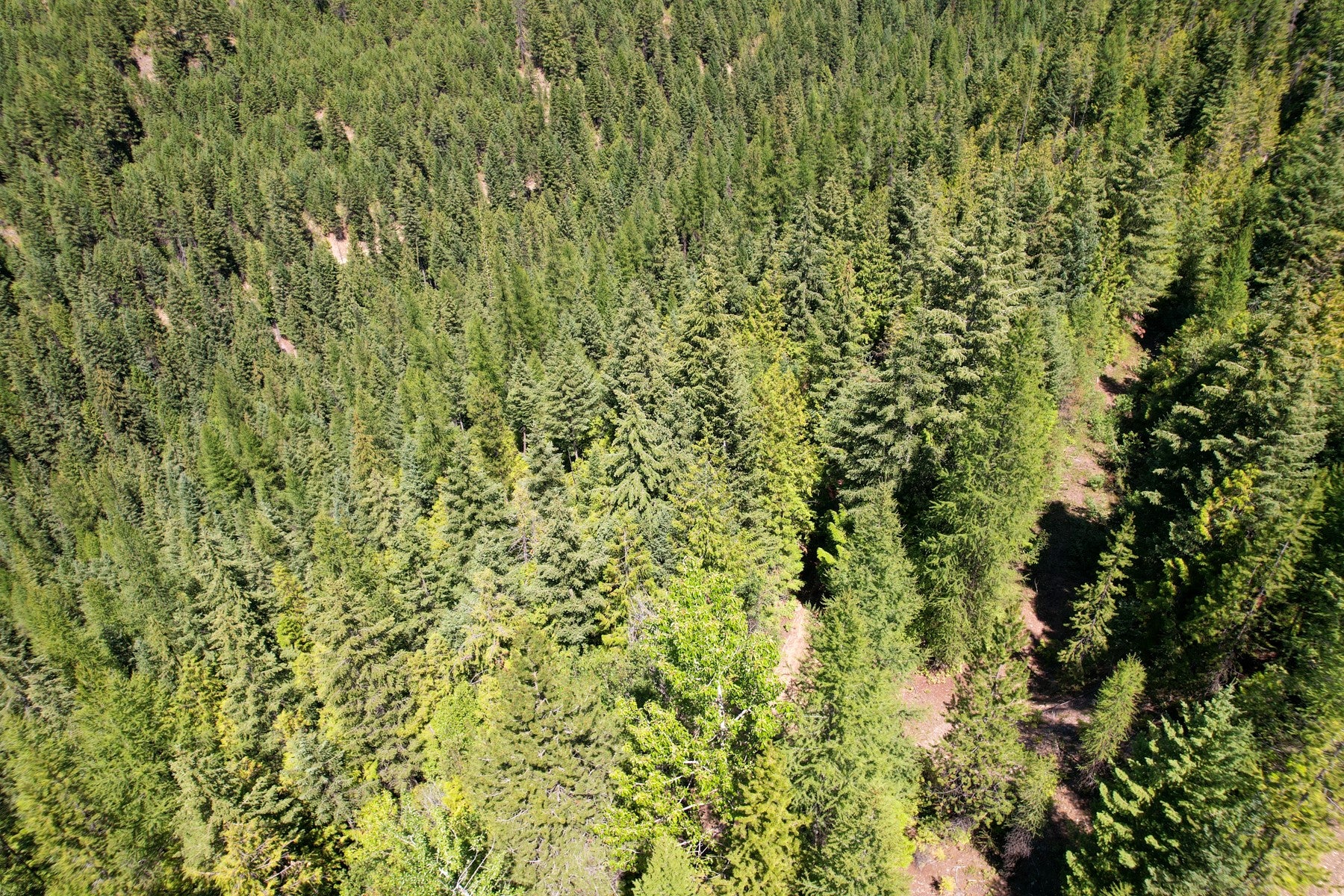 2 Pardee Flat Road Superior, MT 59872 - Photo 2 of 30 Gallery Image 2