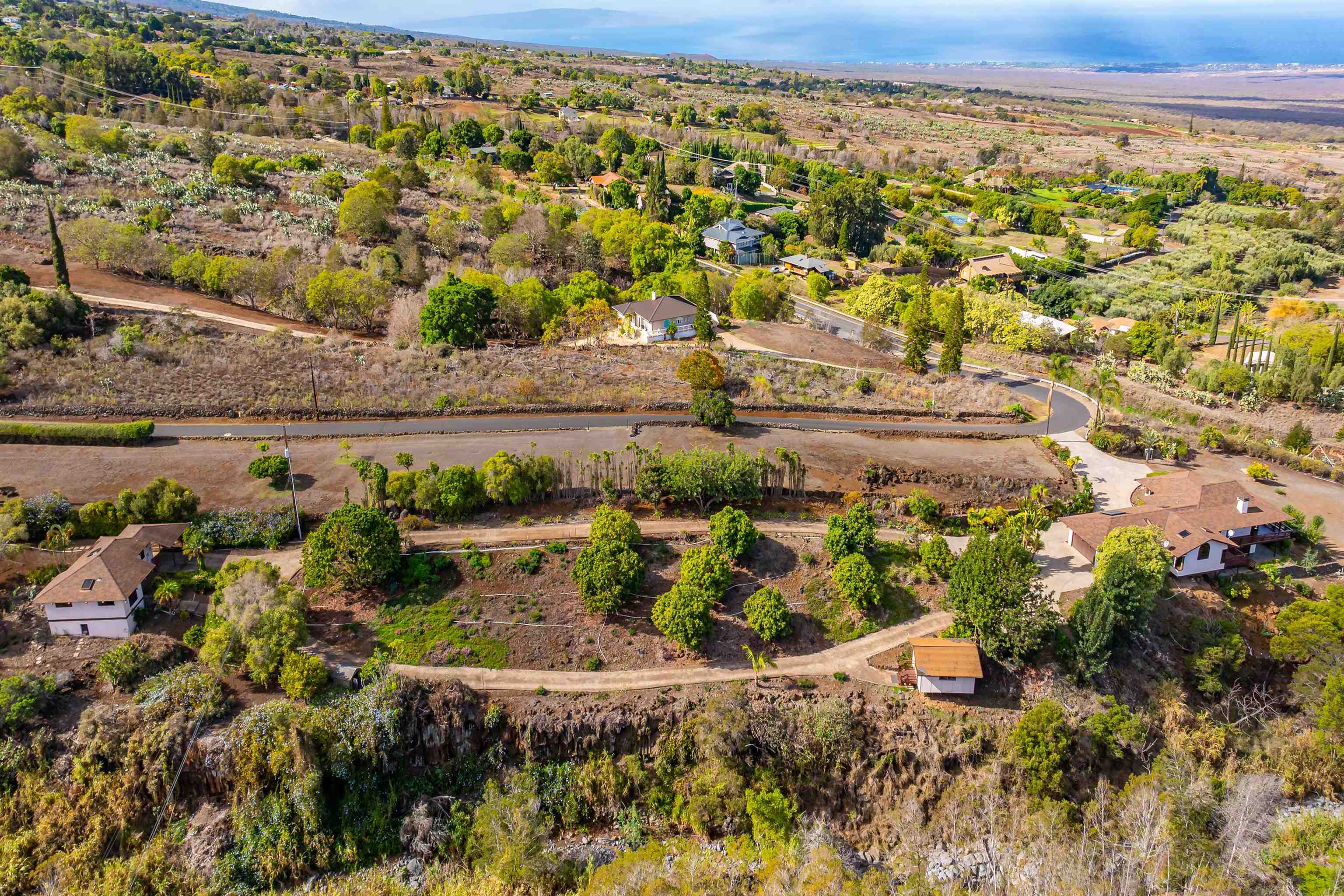 110 Kamehameiki Road Kula, HI 96790 - Photo 28 of 50 a view of a yard with wooden fence