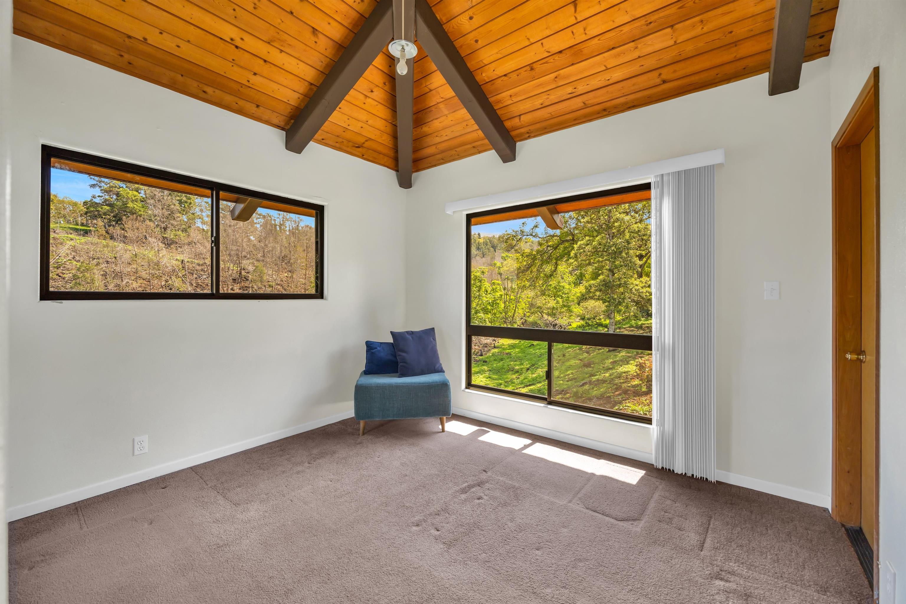 110 Kamehameiki Road Kula, HI 96790 - Photo 44 of 50