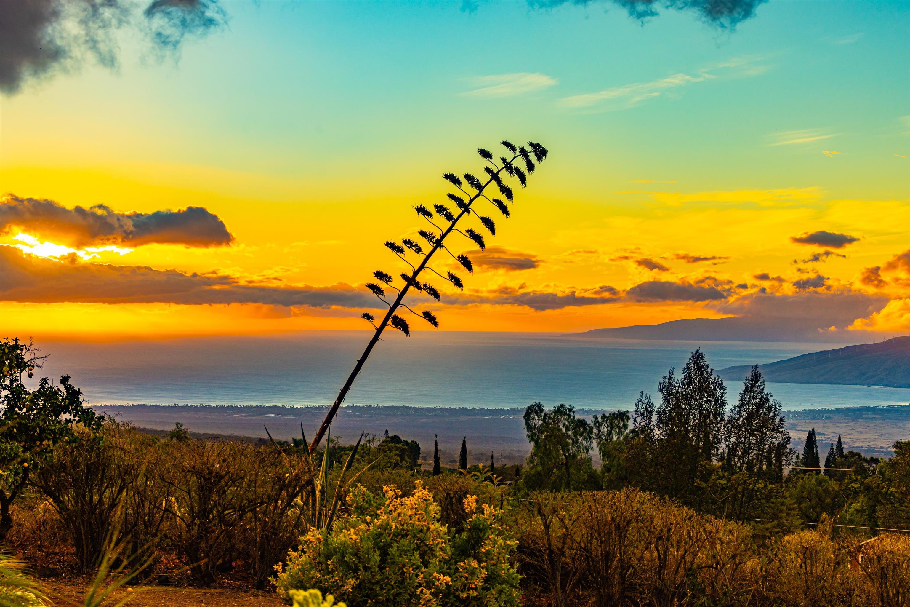 110 Kamehameiki Road Kula, HI 96790 - Photo 5 of 50 a view of a ocean