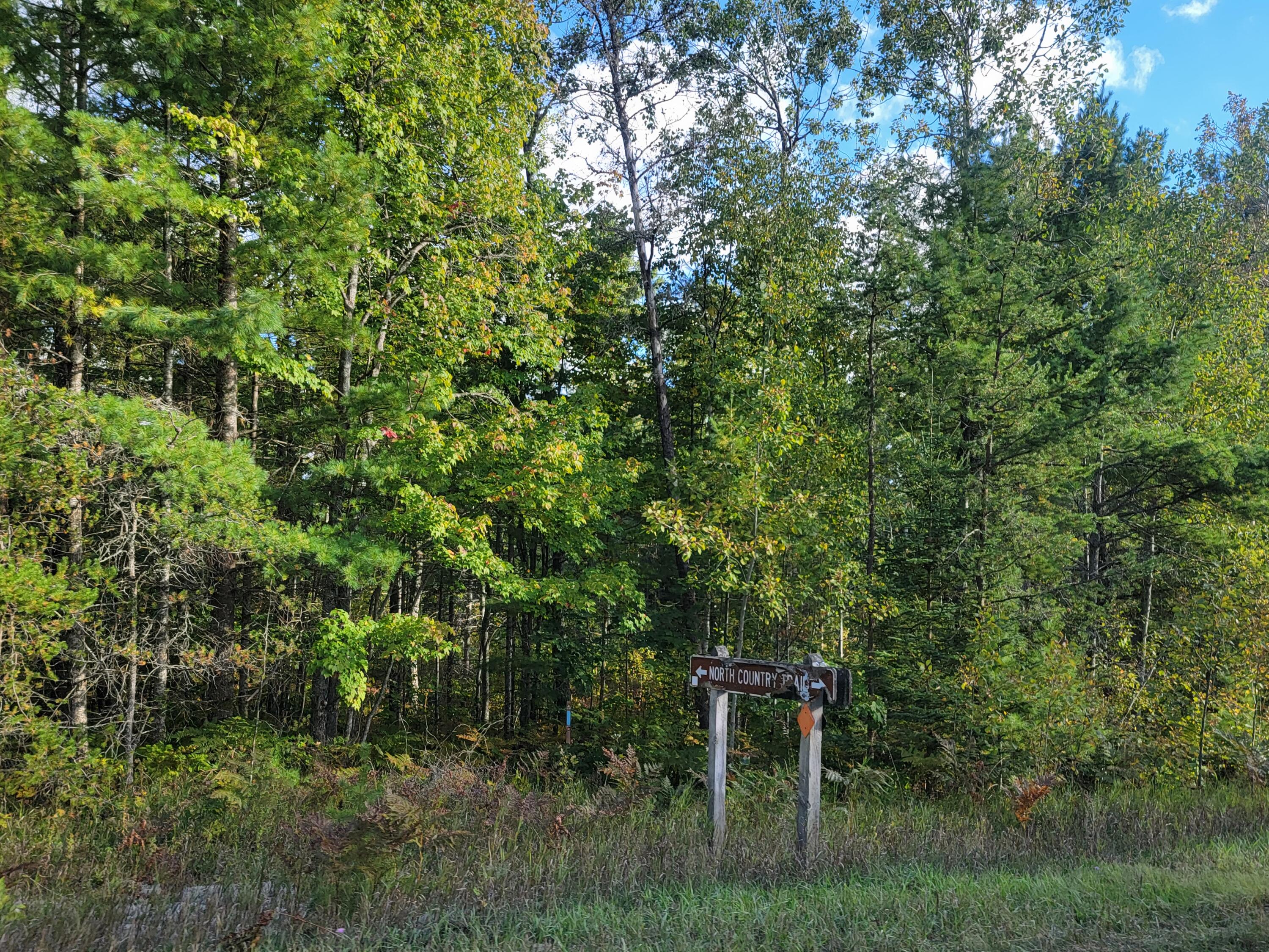 Lot 1 Brevort Camp Road Moran, MI 49760 - Photo 58 of 66 Gallery Image 58