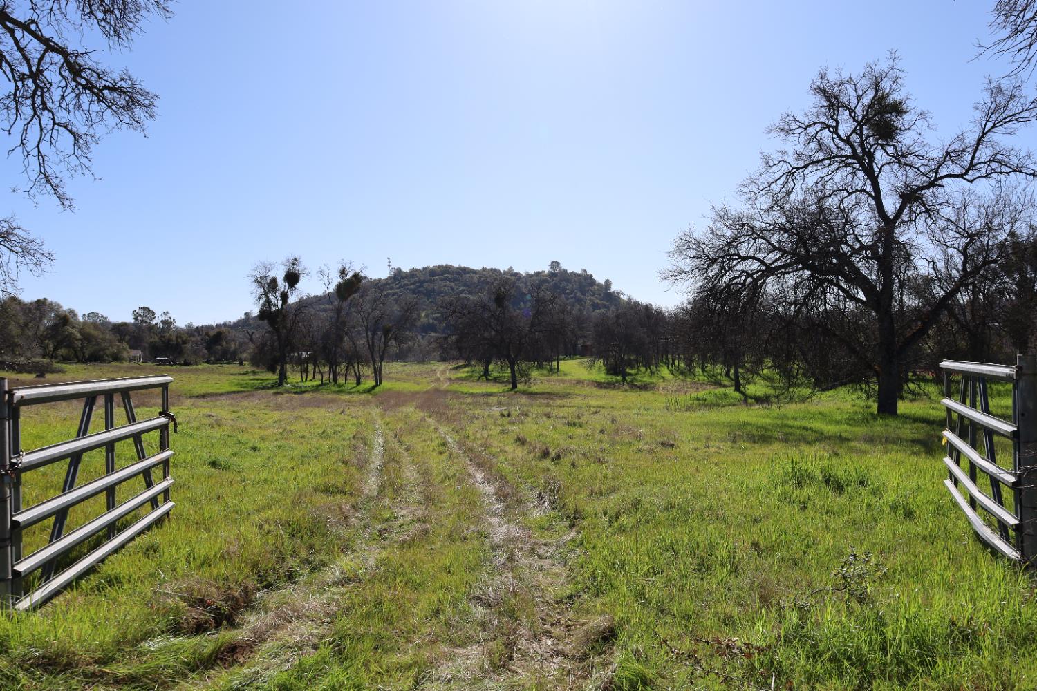 10 Douglas Road South Coarsegold, CA 93614 - Photo 17 of 29 Gallery Image 17