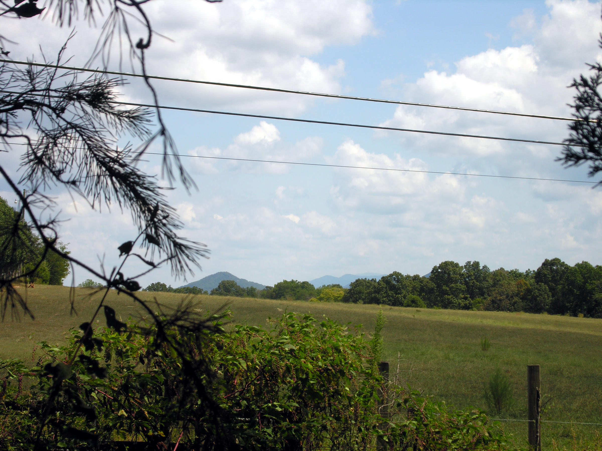 Akins Road Tellico Plains, TN 37385 - Photo 1 of 3 Arp view