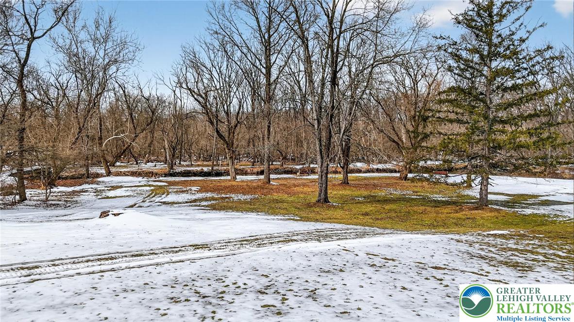 3535 Altonah Road Bethlehem, PA 18017 - Photo 16 of 49 a view of a yard with a tree