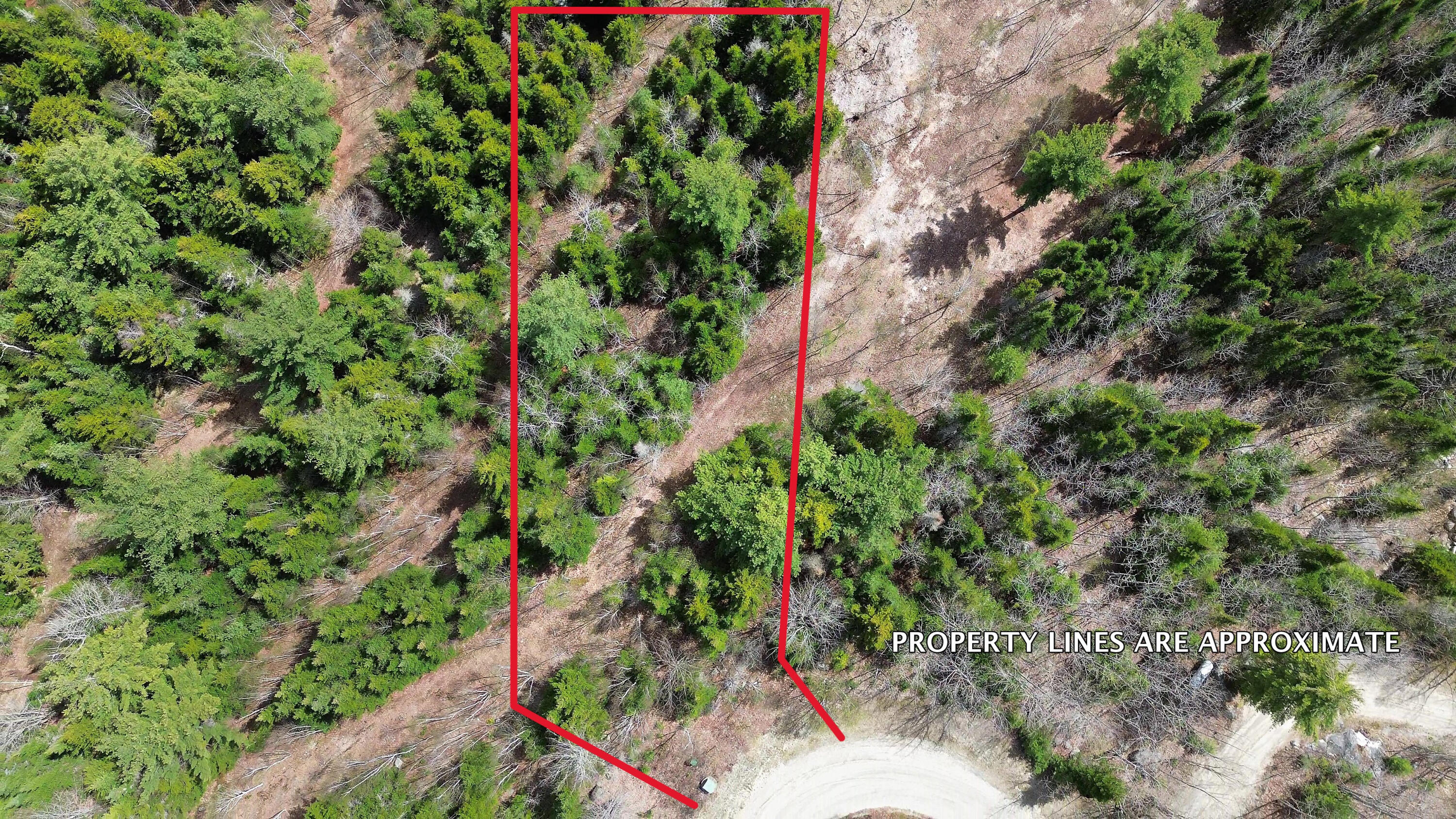 Lot 11 Bailey Mountain Road Franklin, ME 04634 - Photo 3 of 6 LOT11