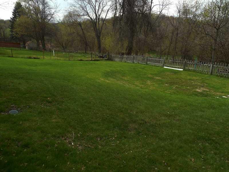 2115 Rankintown Road Finleyville, PA 15332 - Photo 22 of 25 Yard/Garden. This lush green paradise is nicely secluded .