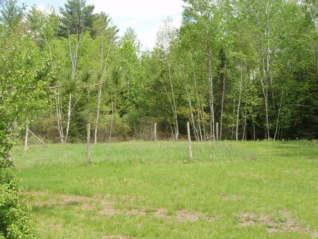1575 East Stella Lake Road Three Lakes, WI 54562 - Photo 2 of 12 Gallery Image 2