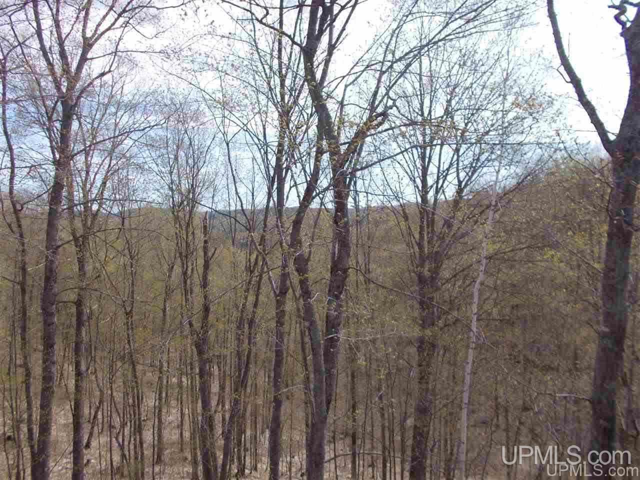 80-acres Triple A Road Ishpeming, MI 49849 - Photo 7 of 28