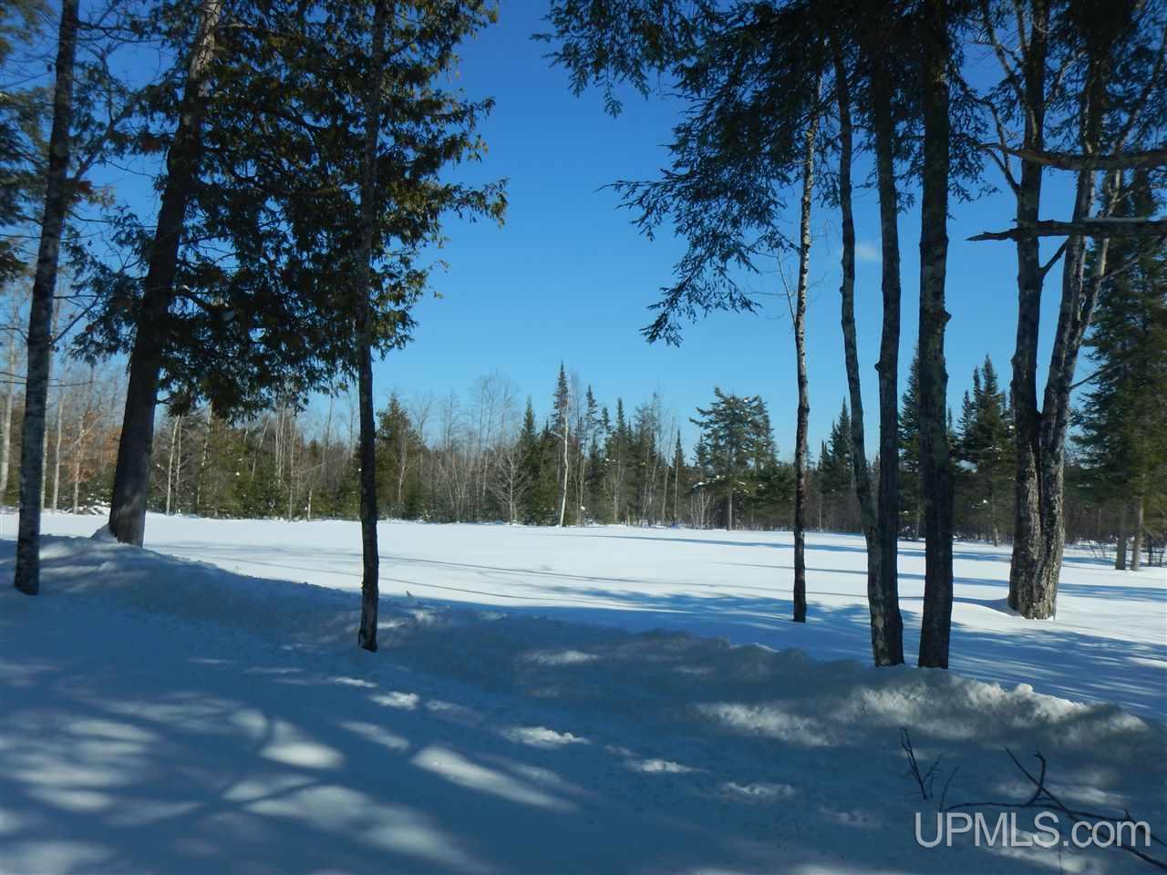 15490 County 426 M.5 Road Cornell, MI 49818 - Photo 16 of 34
