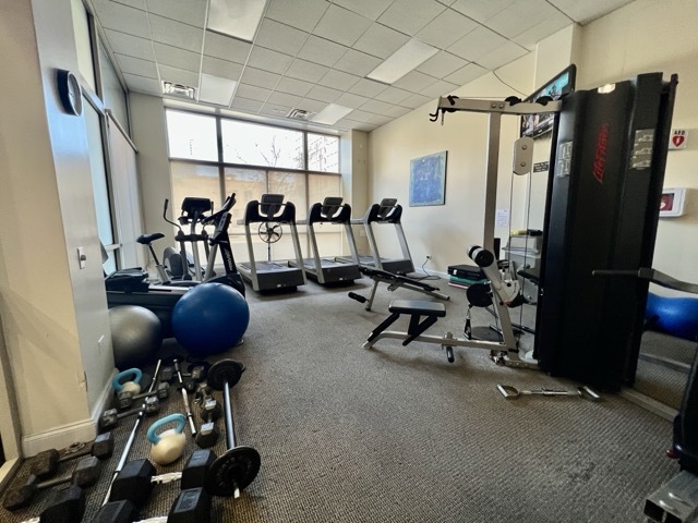 1001 West Madison Street, Unit 504 Chicago, IL 60607 - Photo 27 of 30