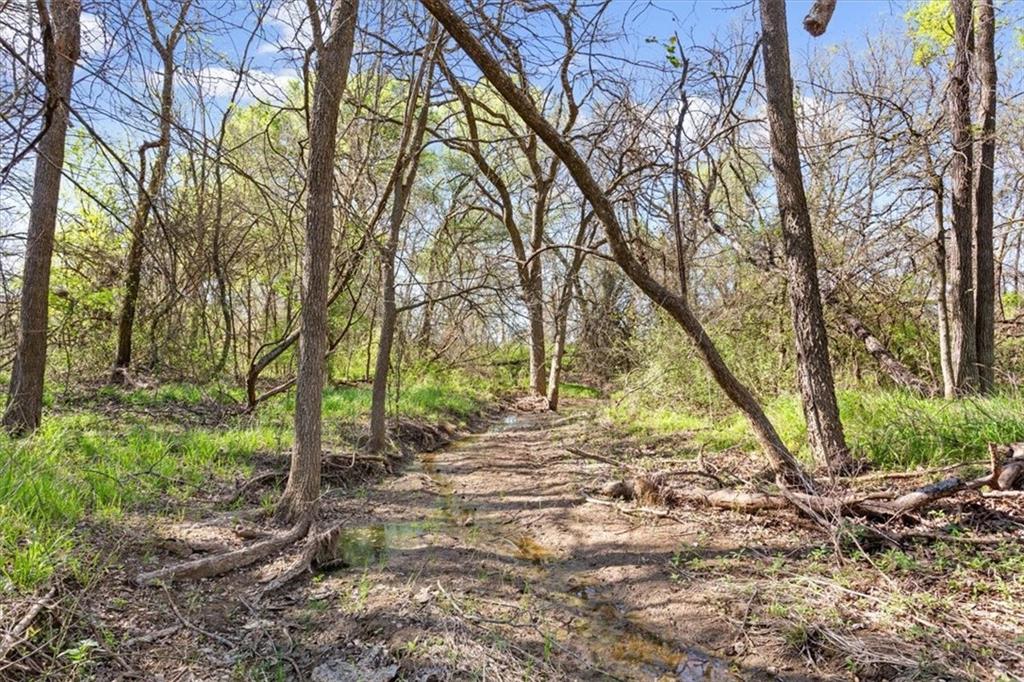 2302 HCR 2302 South Abbott, TX 76621 - Photo 13 of 19 a view of a yard with plants and trees