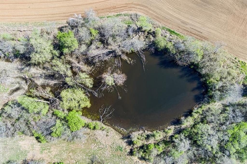 2302 HCR 2302 South Abbott, TX 76621 - Photo 15 of 19 a view of a garden with a lake