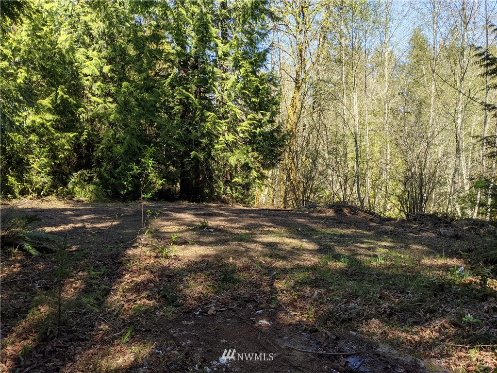 0 East Collins Road Port Orchard, WA 98366 - Photo 9 of 17 Gallery Image 9