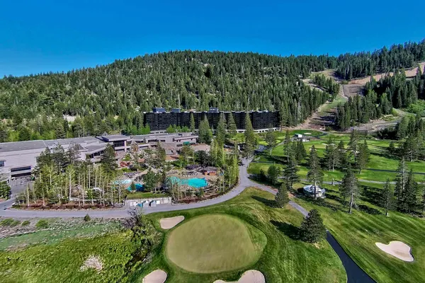 a view of a backyard with plants and a garden