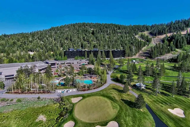 a view of a backyard with plants and a garden