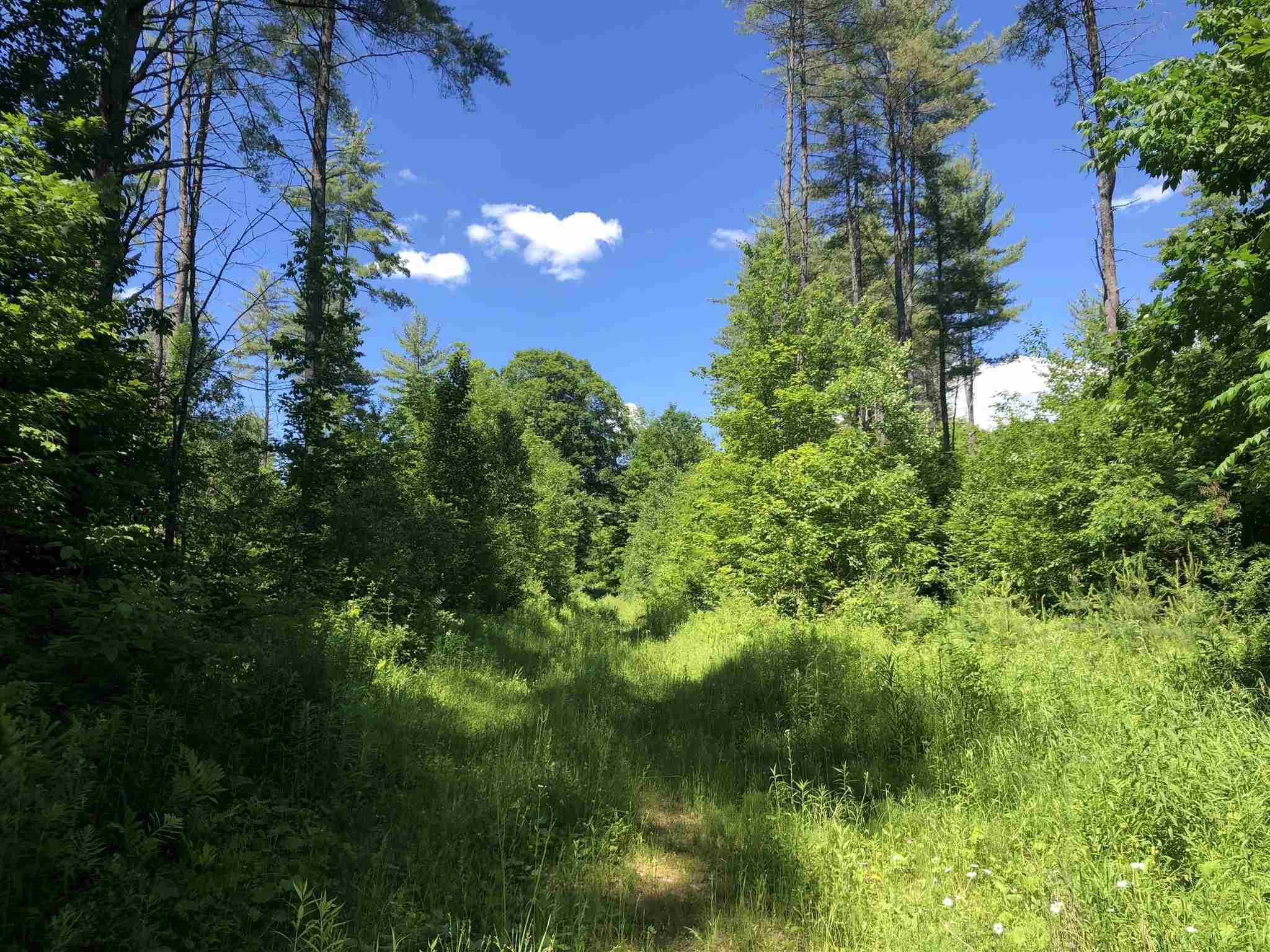 0 Jackson Brook Road Thetford Center, VT 05075 - Photo 2 of 12