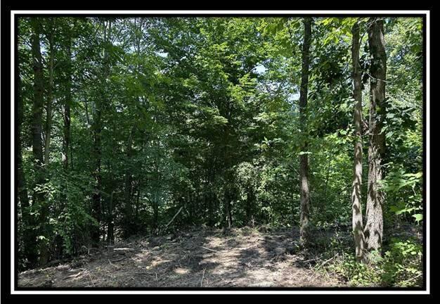 0 Old State Road, Unit TRACT 8) Crooksville, OH 43731 - Photo 27 of 37 image027