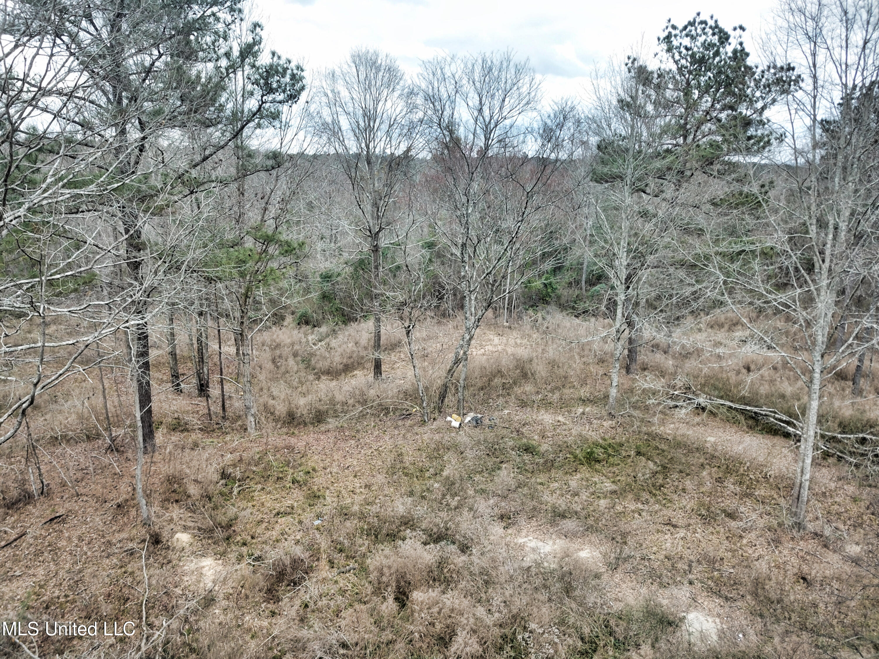 0 Scr 503 Raleigh, MS 39153 - Photo 1 of 18 DJI_0003-1