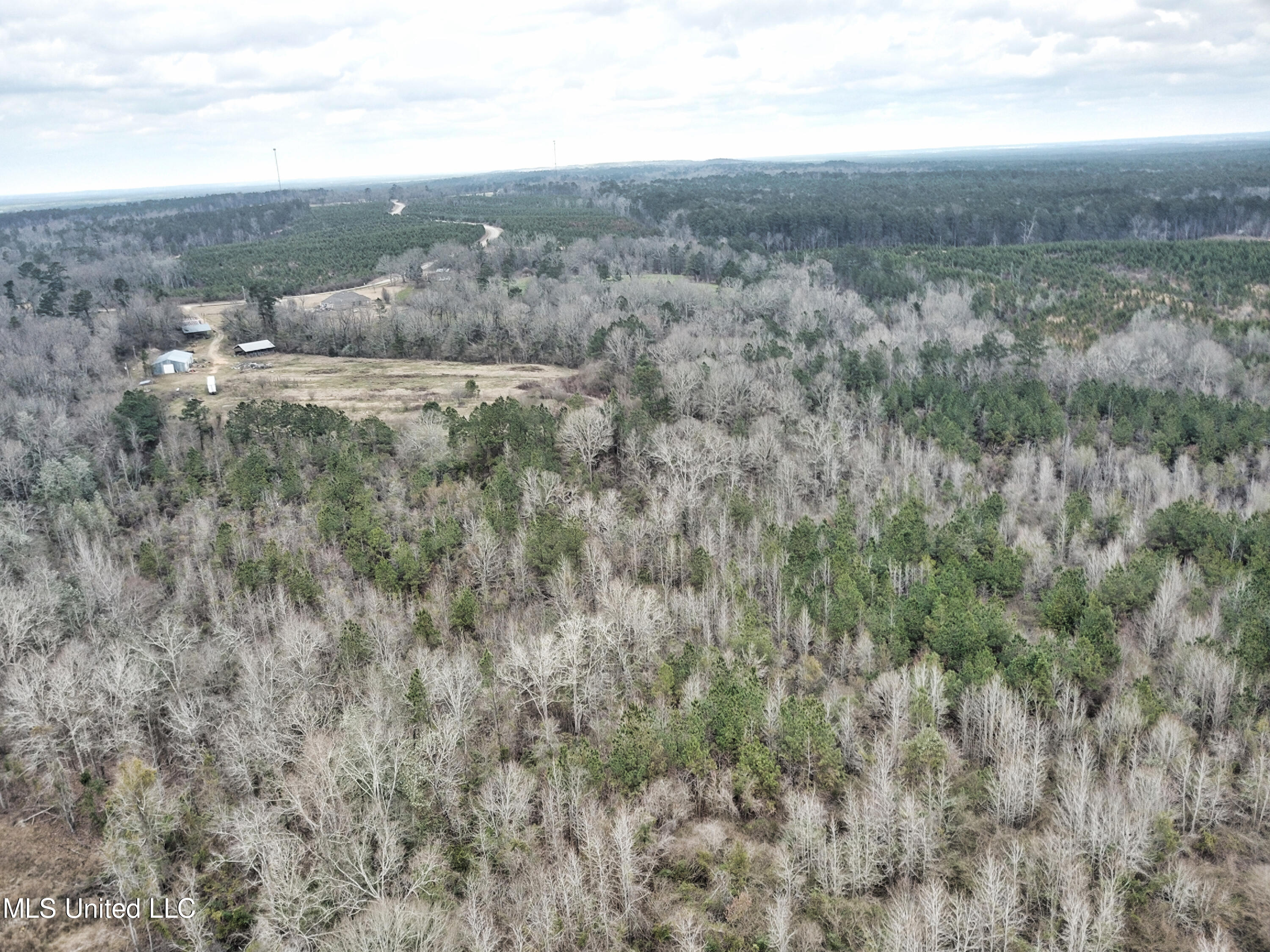 0 Scr 503 Raleigh, MS 39153 - Photo 11 of 18 DJI_0053-1