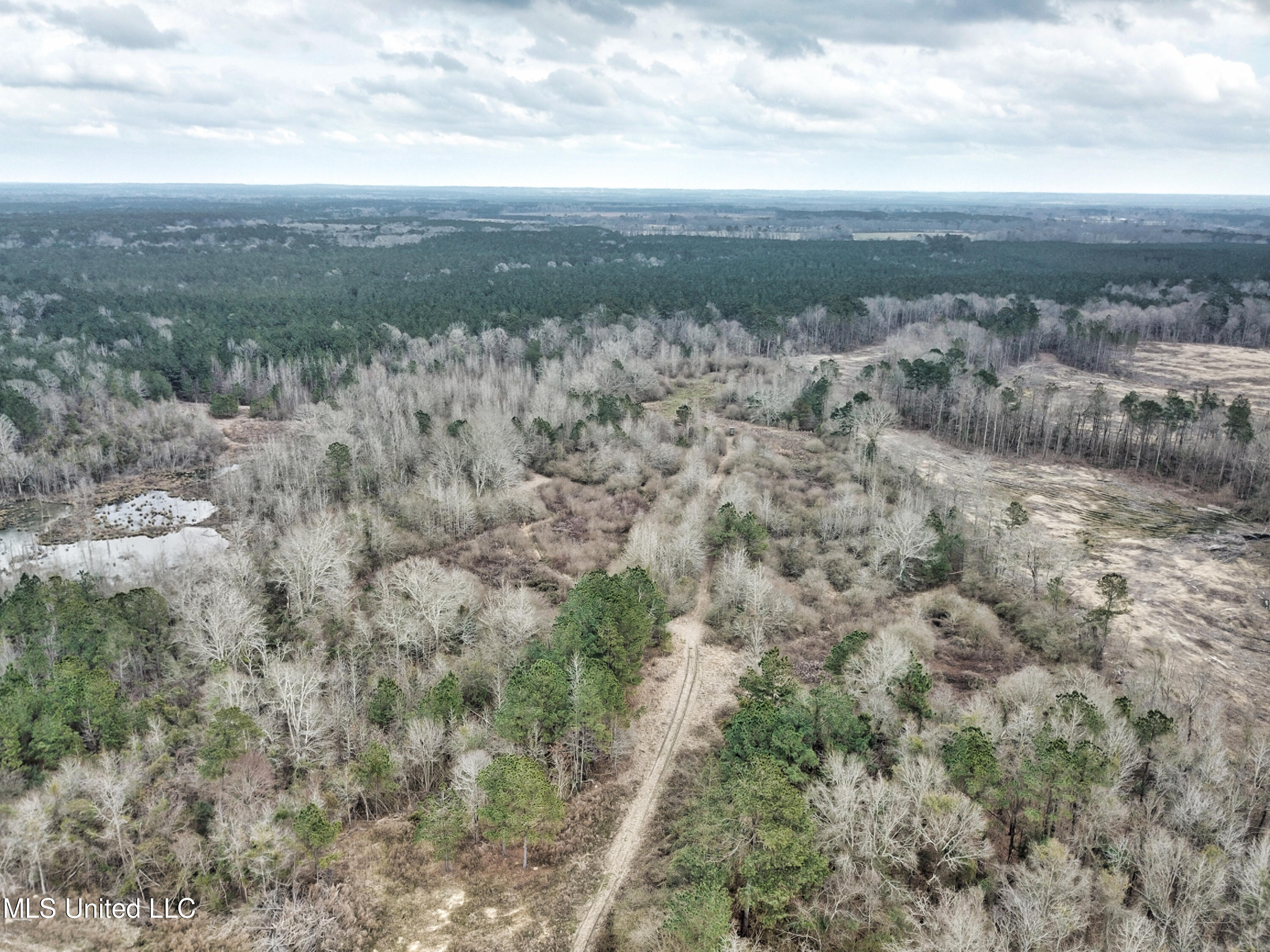 0 Scr 503 Raleigh, MS 39153 - Photo 12 of 18 DJI_0058-1