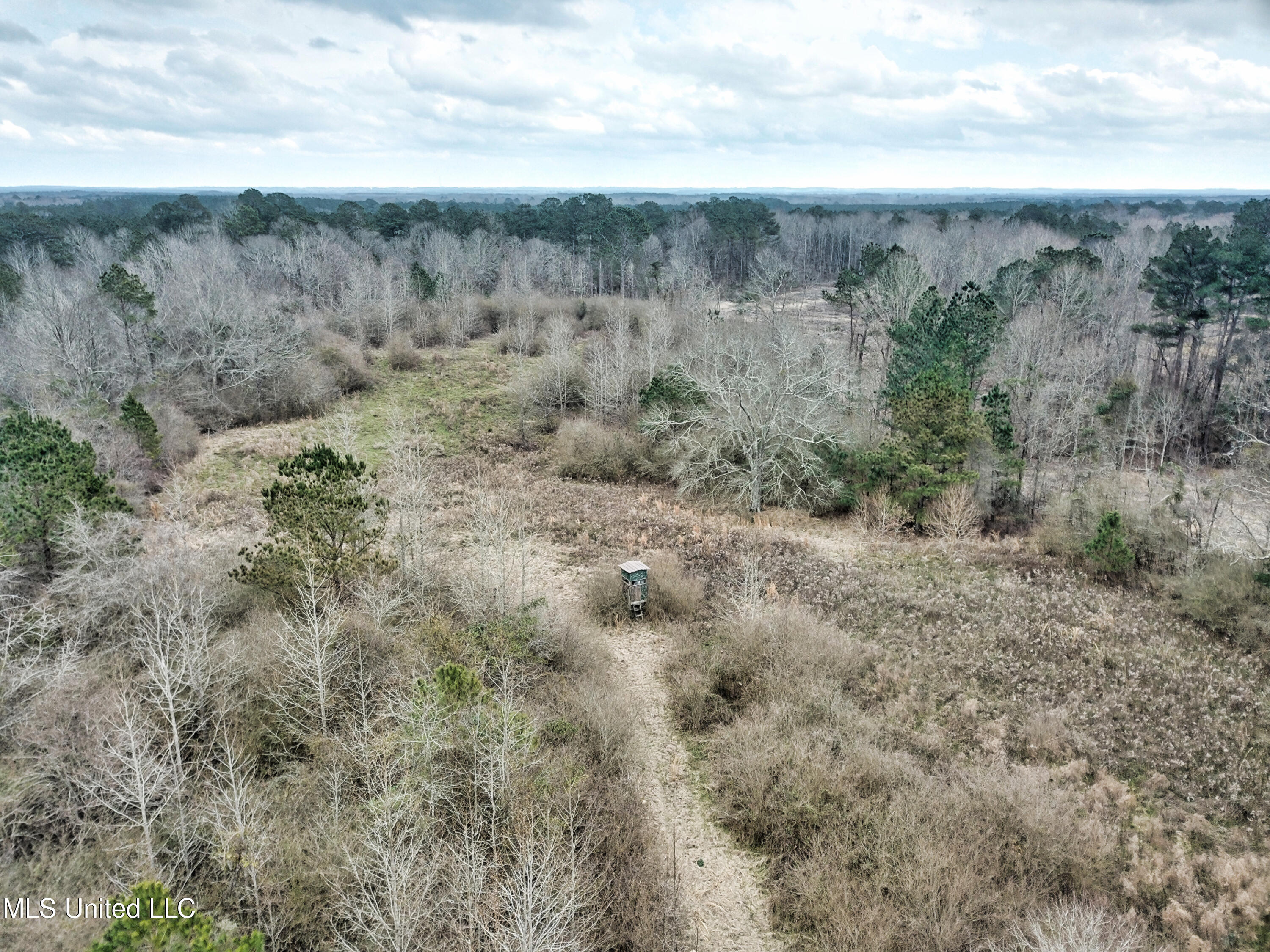 0 Scr 503 Raleigh, MS 39153 - Photo 13 of 18 DJI_0063-1