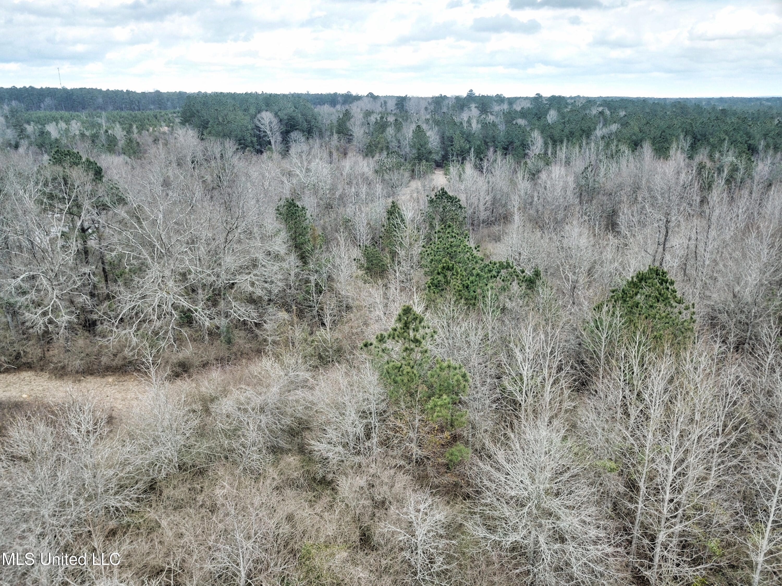 0 Scr 503 Raleigh, MS 39153 - Photo 14 of 18 DJI_0068-1