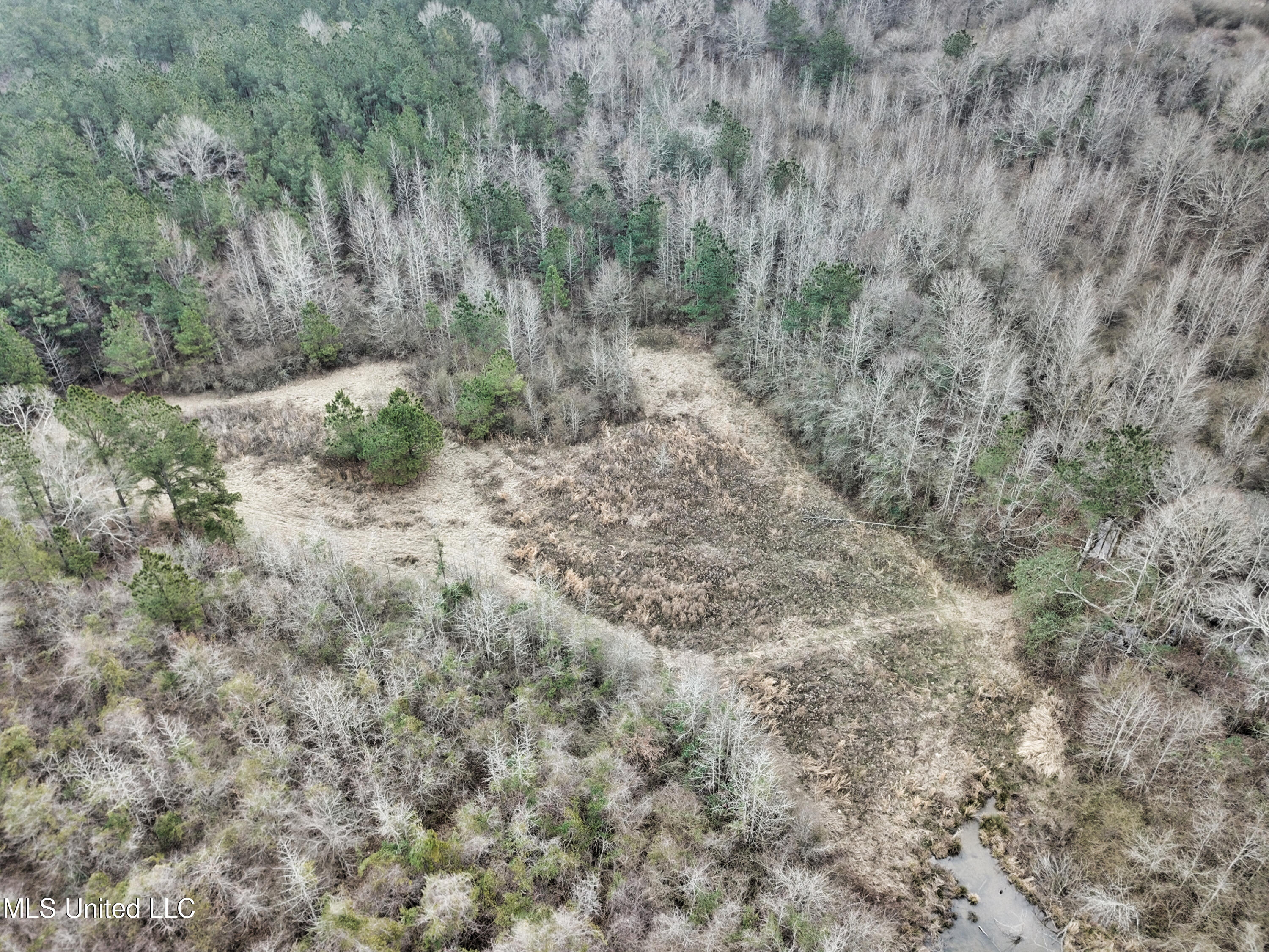 0 Scr 503 Raleigh, MS 39153 - Photo 15 of 18 DJI_0080-1