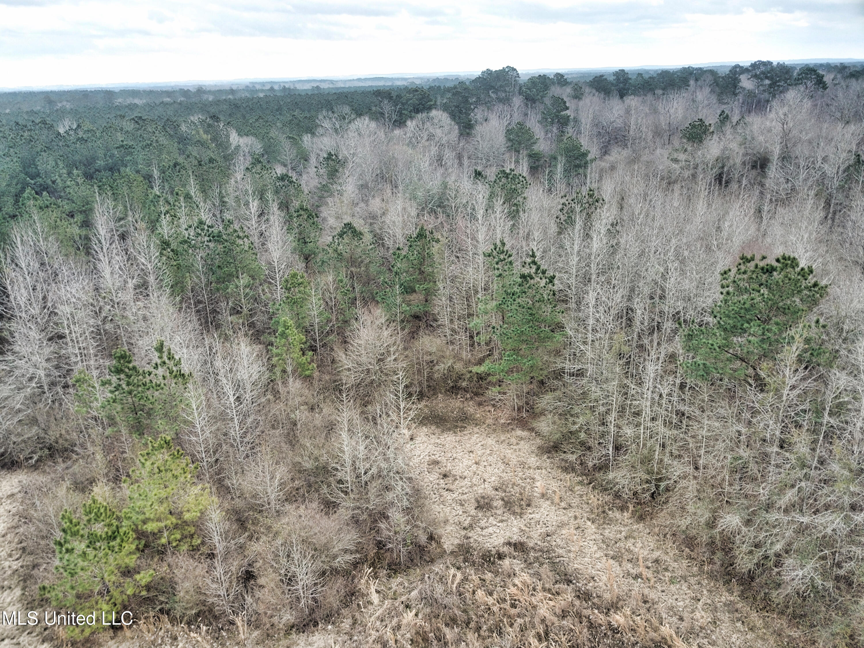 0 Scr 503 Raleigh, MS 39153 - Photo 16 of 18 DJI_0085-1