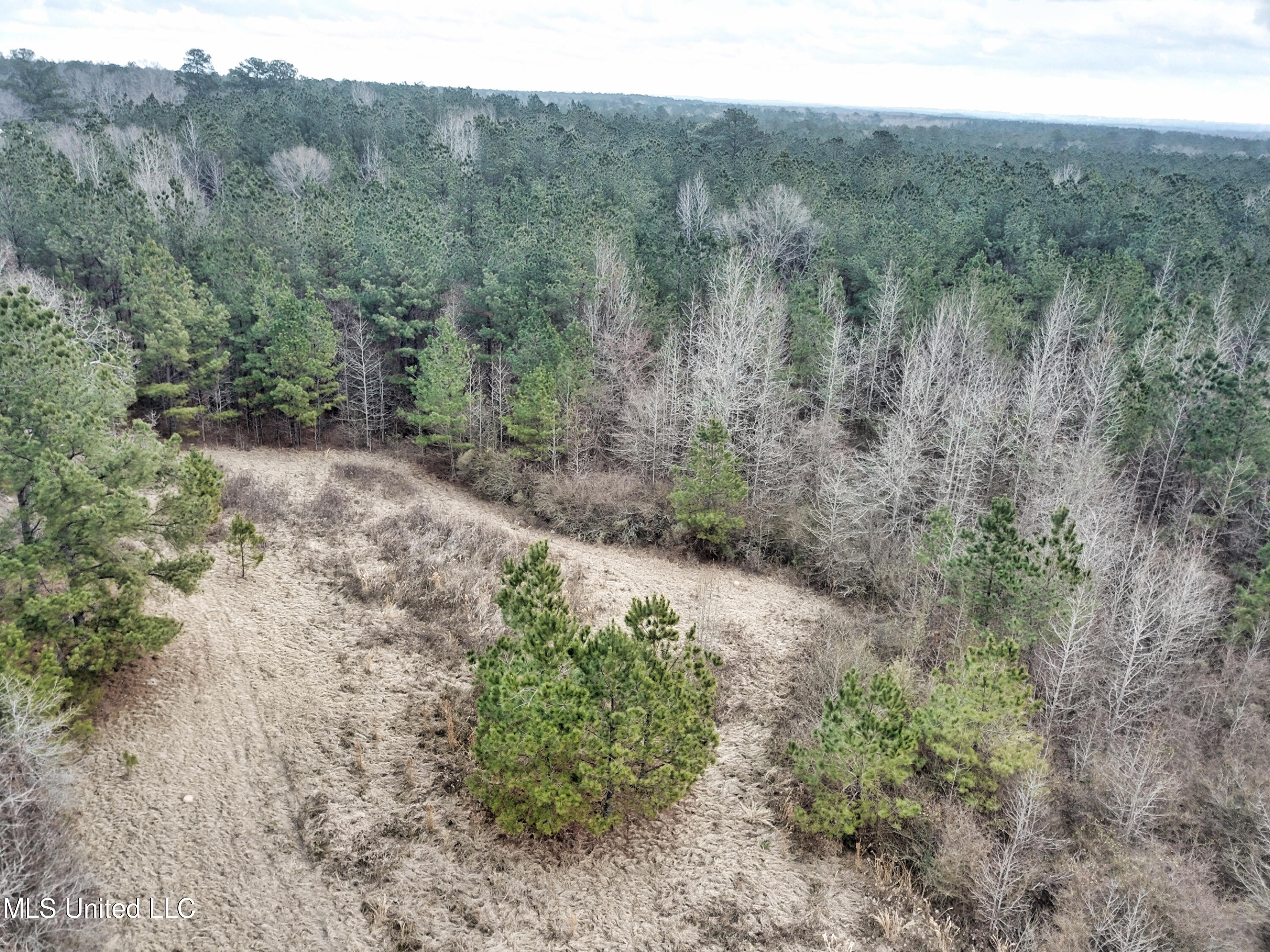 0 Scr 503 Raleigh, MS 39153 - Photo 17 of 18 DJI_0090-1