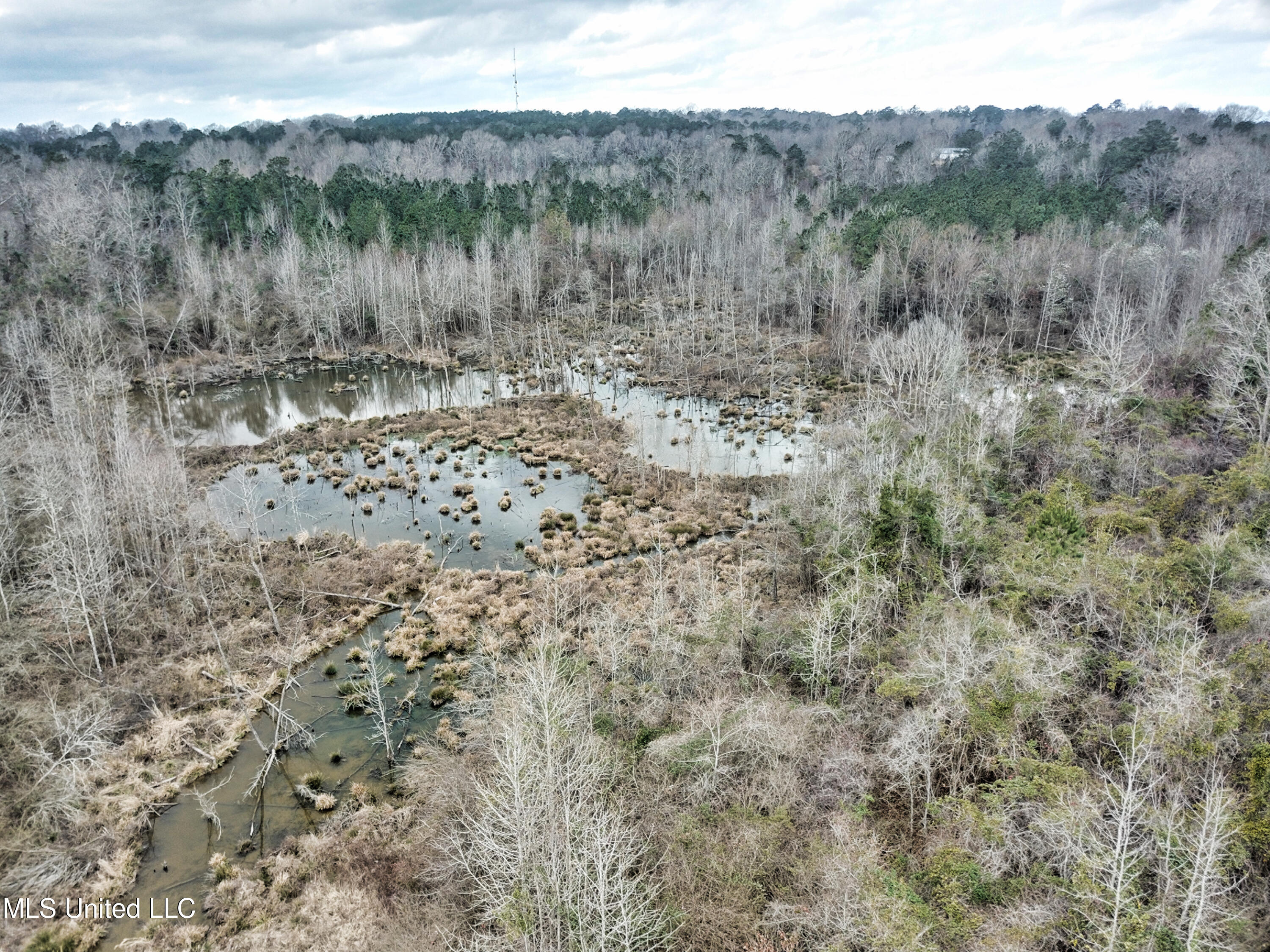 0 Scr 503 Raleigh, MS 39153 - Photo 18 of 18 DJI_0100-1