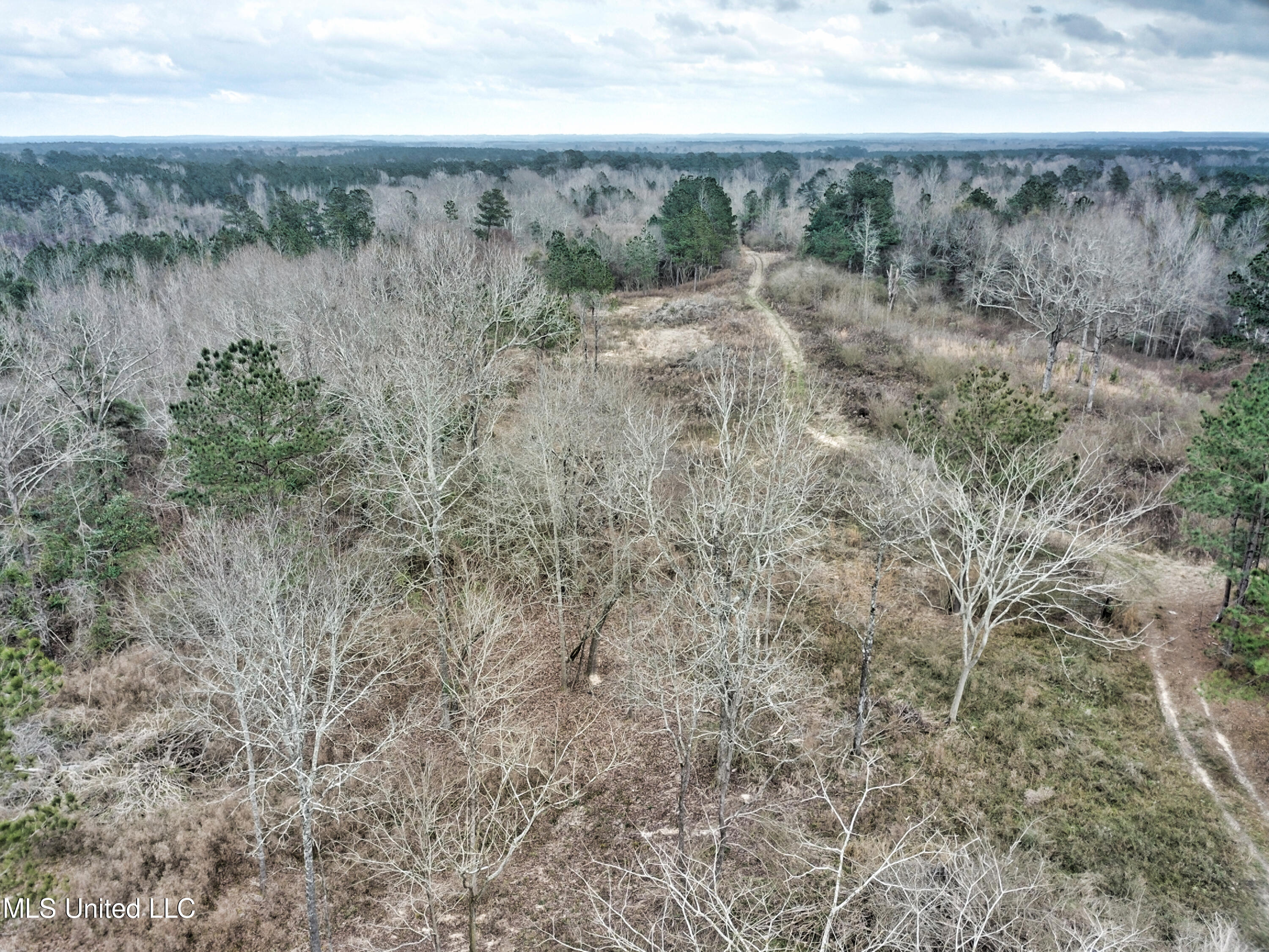 0 Scr 503 Raleigh, MS 39153 - Photo 2 of 18 DJI_0007-1