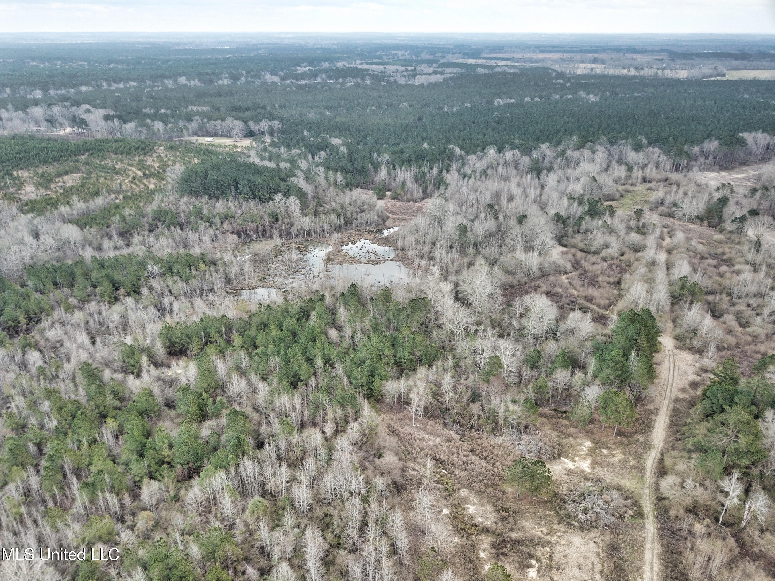 0 Scr 503 Raleigh, MS 39153 - Photo 3 of 18 DJI_0012-1