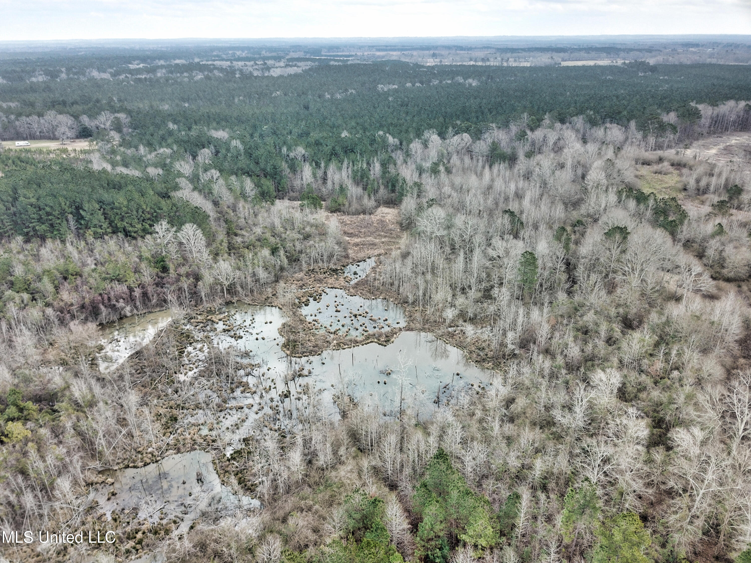 0 Scr 503 Raleigh, MS 39153 - Photo 4 of 18 DJI_0018-1